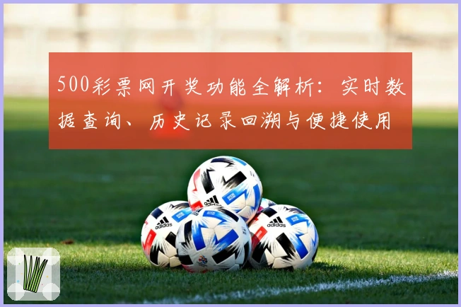 500彩票网开奖功能全解析：实时数据查询、历史记录回溯与便捷使用体验指南